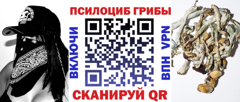 цена наркотик  ссылка на мегу tor  Псилоцибиновые грибы ЛСД  Верхний Тагил 
